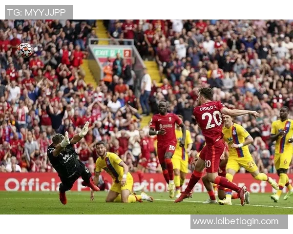 德甲焦点战曼联与本菲卡握手言和乌龙球成比赛转折点解析